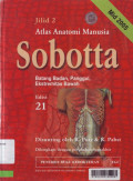 SOBOTTA : Atlas Anatomi Manusia, Jilid 2